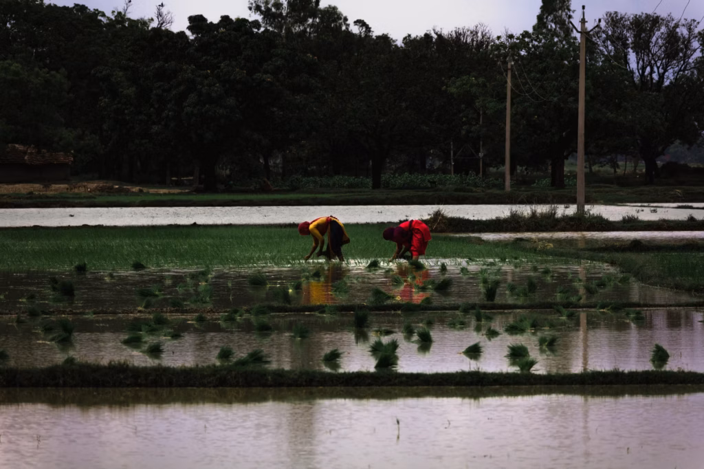 Group of women engaged in farming and cooperative business