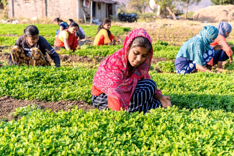 Women working in an agricultural processing facility, sorting produce with modern equipment