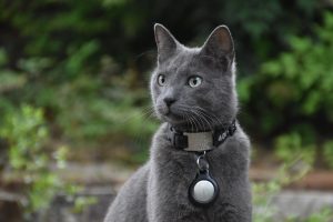Lawsuit Alleges Apple AirTag Enabled Stalking and Surveillance
