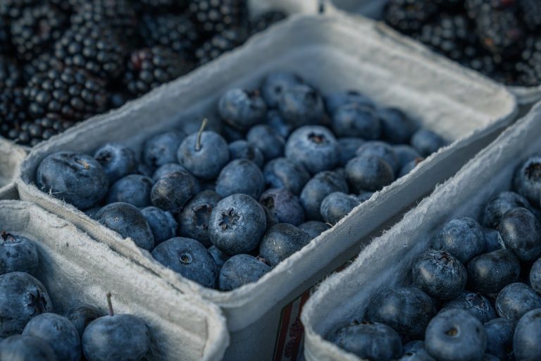 Women Take CEO Seats at Susan G. Komen, Driscoll's and Girls Who Code 2 Blueberries, fruit, berries, and blackberries