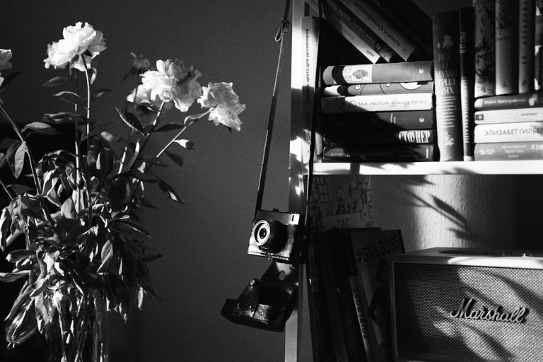 Celebrating Women Entrepreneurs: New Book Profiles 99 in Bangladesh Beauty 2 A bookshelf of books beside a camera and flowers