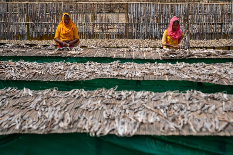 Woman tending a fish farm pond