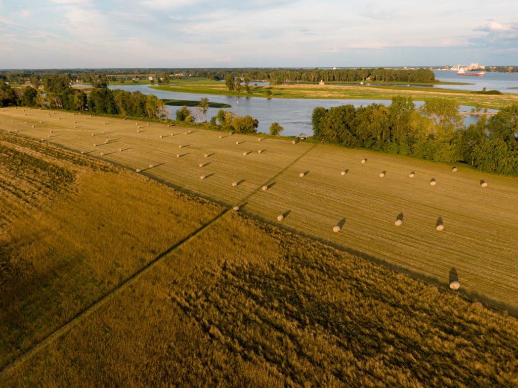 Agriculture Businesses Get New Support for Women Entrepreneurs
